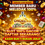 Member Baru Meledak 100%